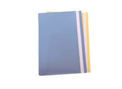 תיקיות חצי שקופות