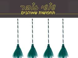 מטאטא מכשפה חדש